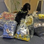 Sniffer dog Phoebe with illegal tobacco seized during raids in Eastbourne