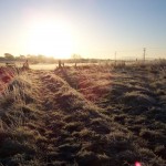 Rights of way and countryside sites - sunrise