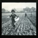 Lantern slide of a young Women’s Land Army girl sowing, c1918, (R/L/39/2/19), East Sussex Record Office