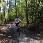 Cycling in the forest