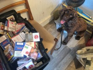 dog sitting by a box of cigarette boxes 