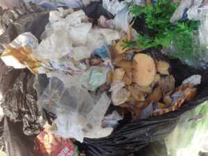 a pile of food waste, black bins bags, general rubbish 
